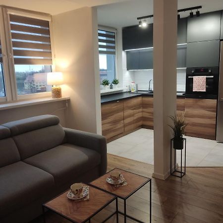 Apartament Z Widokiem Na Miasto Gliwice Exterior foto